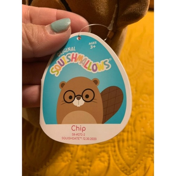 Squishmallows Chip the Beaver - 8 inch - Picture 3 of 3